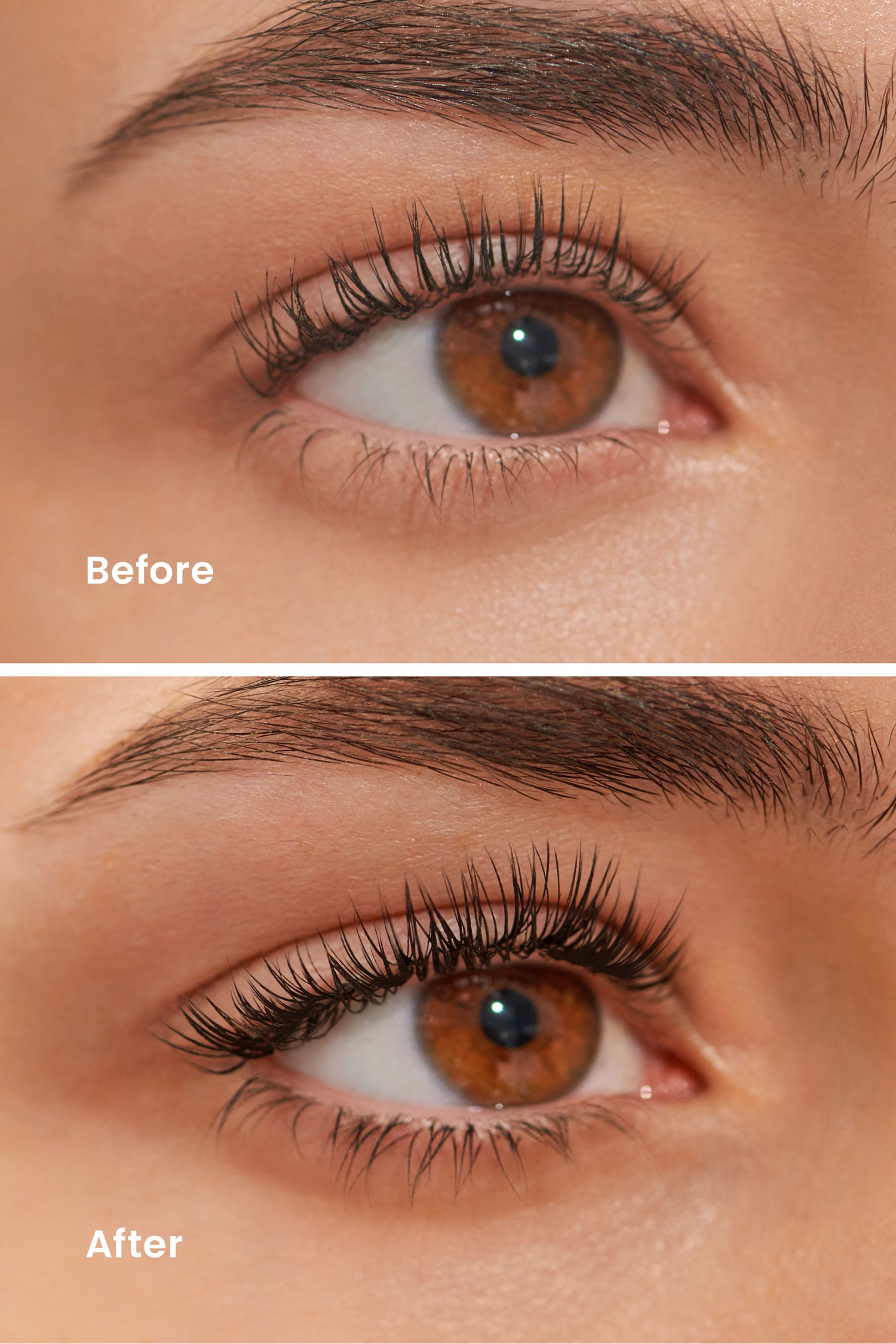 Lash Boosting Primer